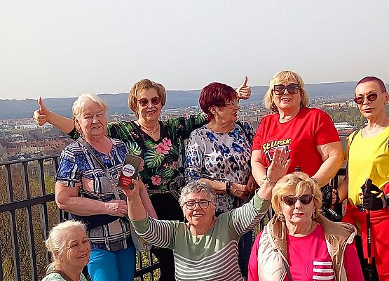 Grafika 3: Nordic Walking