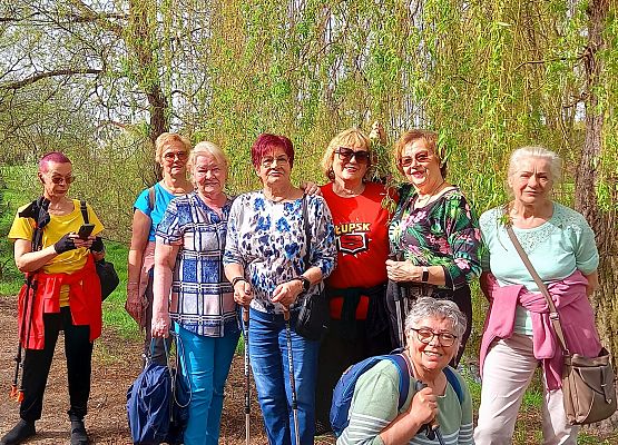 Grafika 1: Nordic Walking