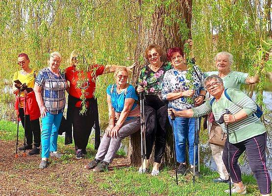 Grafika 2: Nordic Walking