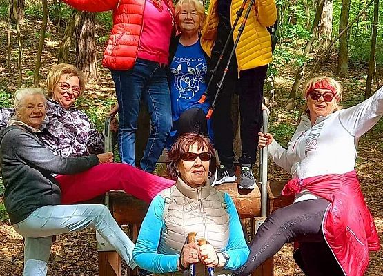 Grafika 4: Nordic Walking