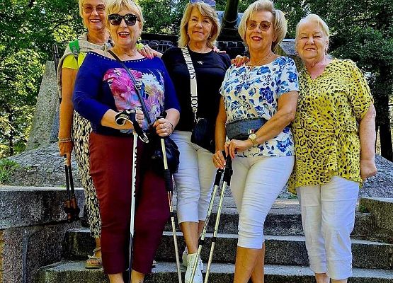 Grafika 5: Nordic Walking
