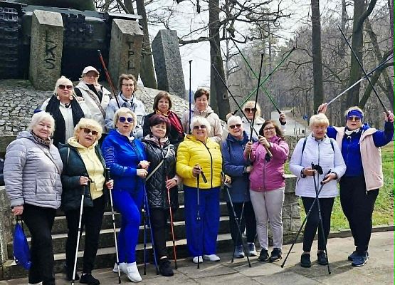 Grafika 1: Nordic Walking