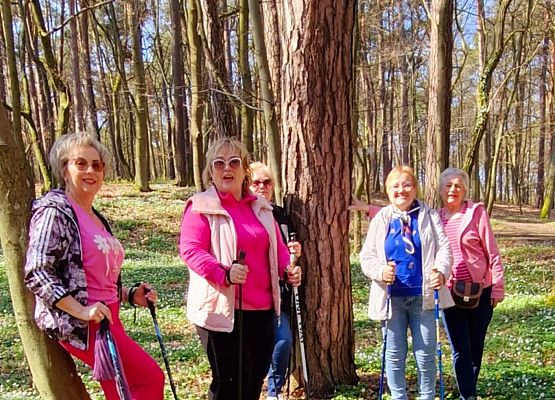 Grafika 4: Nordic Walking dla Uniwersytetu