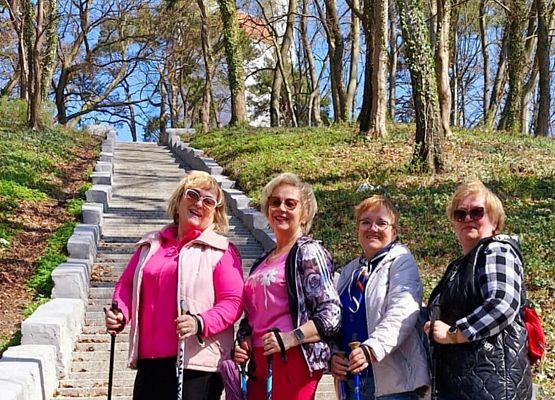 Grafika 2: Nordic Walking dla Uniwersytetu