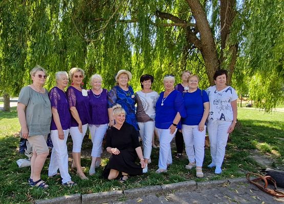 Grafika 2: Grupa Taneczna LUTW