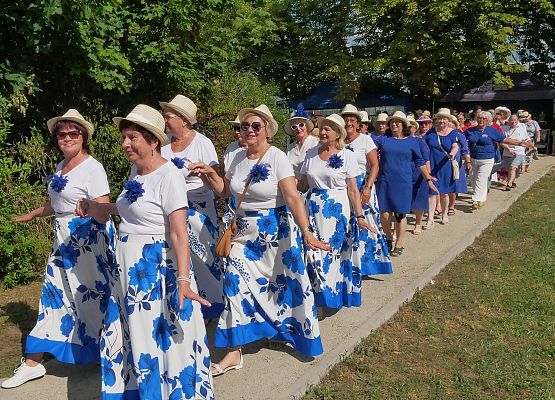 Grafika 4: Piknik w Parku Żeroma Lębork