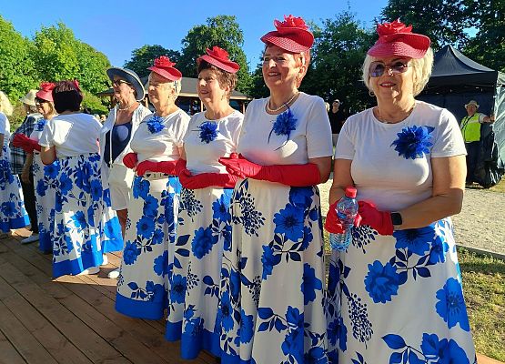 Grafika 7: Piknik w Parku Żeroma Lębork